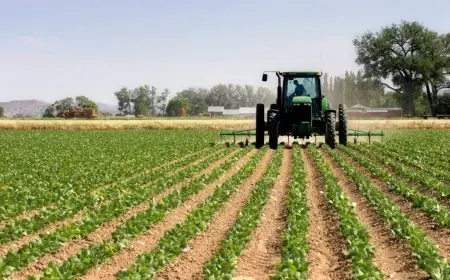 التعاون الزراعي بين البرازيل والمغرب.. شراكة واعدة لتعزيز الأمن الغذائي