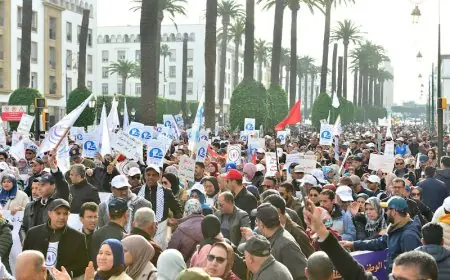 النظام الأساسي لموظفي التعليم يدخل حيز التنفيذ بنسبة 75 بالمائة