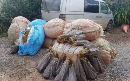 كمين أمني يحبط محاولة تهريب ربع طن من المخدرات باشتوكة آيت باها