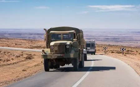وزير الداخلية يفوض إلى الولاة صلاحية الترخيص بنقل الأسلحة والتجهيزات الدفاعية