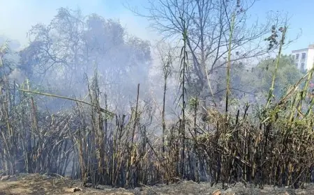 فرق الإطفاء تواصل السيطرة على حريق الداردارة بشفشاون