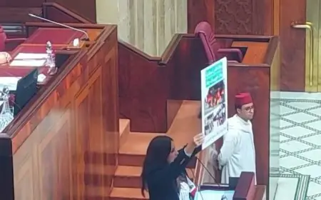 المحكمة الدستورية تحسم الجدل حول منع رفع اللافتات والاعتصام داخل البرلمان
