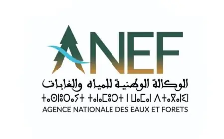 الوكالة الوطنية للمياه والغابات تصدر خرائط استباقية تحدد بدقة المناطق المهددة بحرائق الغابات