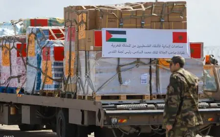 بتعليمات ملكية .. المغرب يرسل مساعدات إنسانية إضافية إلى غزة