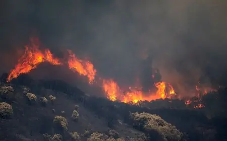 الحرس المدني الإسباني يوقف مغربيا للاشتباه في إشعال حريق غابات قرب مدريد