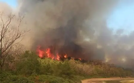 اندلاع حريق بغابة بوهاشم بإقليم شفشاون