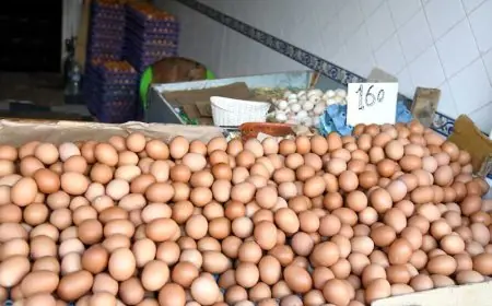 المرصد المغربي لحماية المستهلك يحذر من اختلالات سوق البيض ويطالب بترقيم العبوات