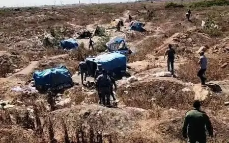 إخلاء وهدم مساكن عشوائية للمهاجرين بعين حرودة بعد شجار دموي أسفر عن قتلى وجرحى