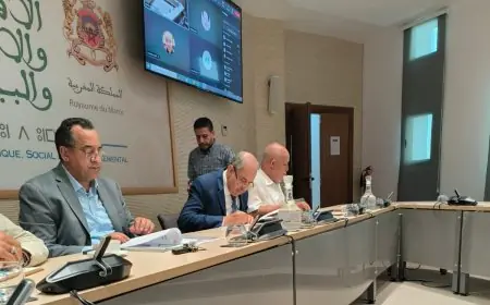 اتحاد المقاولات الصحفية الصغرى يقدم مقترحاته لإصلاح قانون المجلس الوطني للصحافة