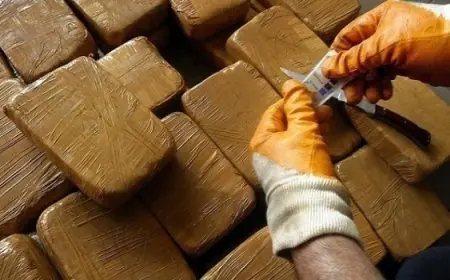 أمن مراكش ينجح في إحباط تهريب 40 كيلوغراما من مخدر الشيرا