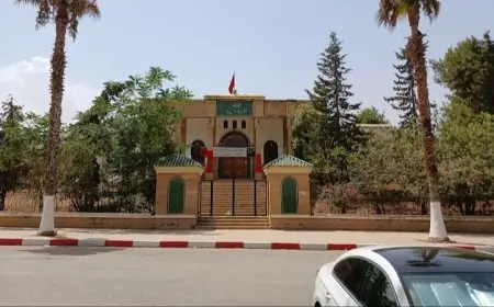 صفرو.. النيابة العامة تتابع متهما بالنصب في قضية “كريمات” سيارات الأجرة