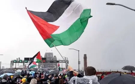 رسميا.. كندا وبريطانيا وأستراليا تعلن اعترافها بدولة فلسطين