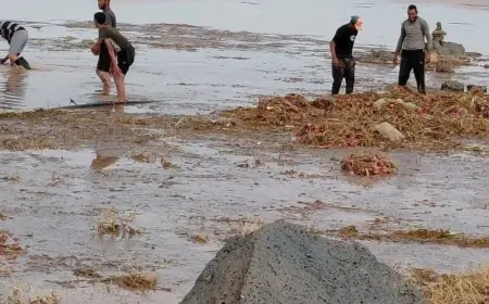 عاصفة رعدية تقضي على أشهر المحاصيل في كيكو وتدفع الفلاحين لطلب دعم عاجل