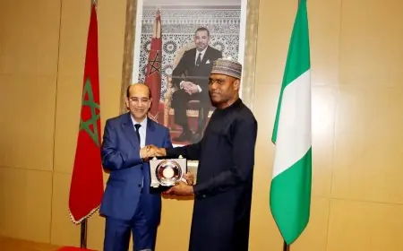 هشام البلاوي يستقبل وفد نيجيري لتعزيز الشراكة القضائية