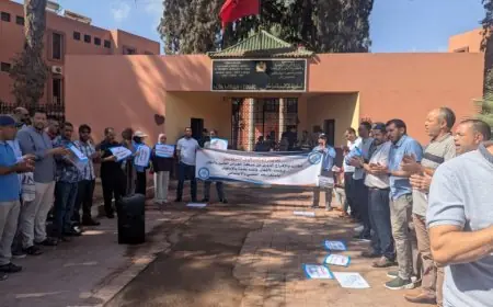 متصرفو التربية بمراكش يحتجون ضد الإقصاء من الحركة الانتقالية