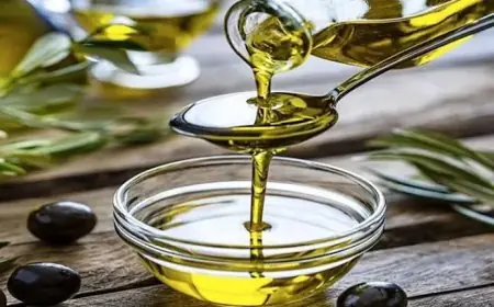 المغرب يتجه نحو طفرة قياسية في إنتاج زيت الزيتون