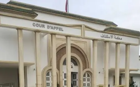 النيابة العامة بالقنيطرة تقرر متابعة الراضي وثلاثة آخرين في قضية “سيارة المخدرات”