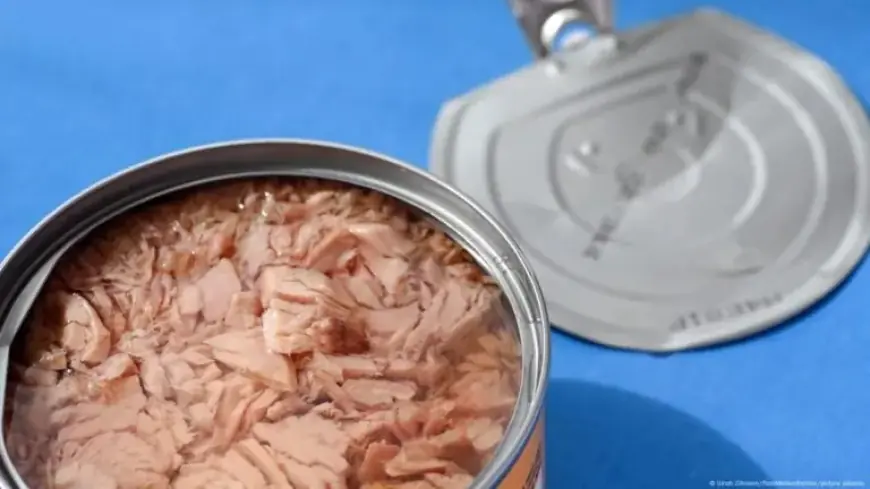 تحذير برلماني من معادن سامة في “التونة المعلبة” تهدد صحة المغاربة