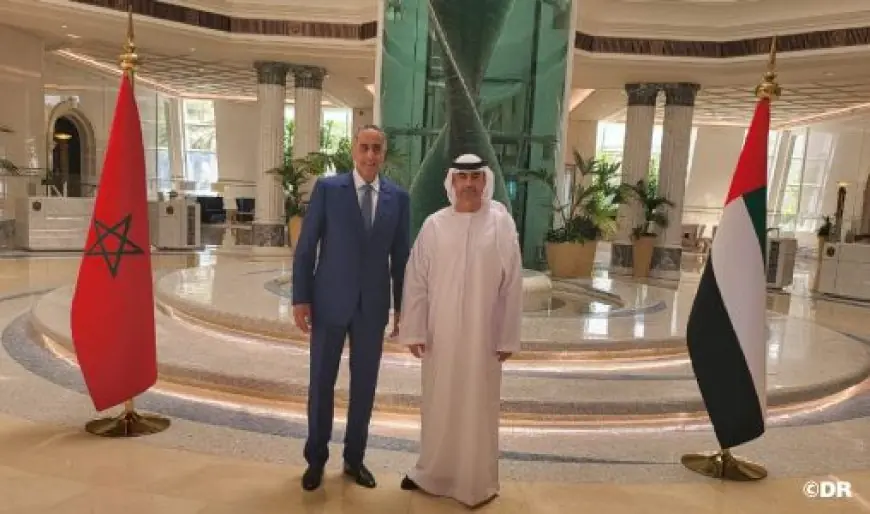 حموشي يجري زيارة عمل إلى الإمارات لتعزيز التعاون الأمني