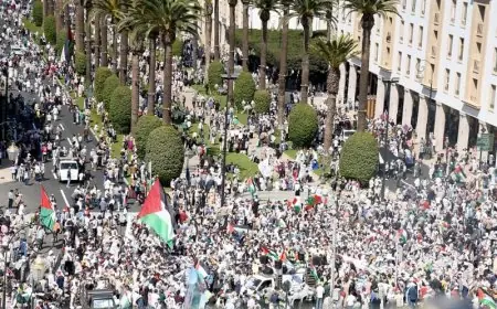 مظاهرة شعبية أمام البرلمان تجدد التضامن مع غزة