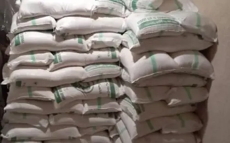 الحكومة تحدد سعر الدقيق الوطني في 200 درهم للقنطار