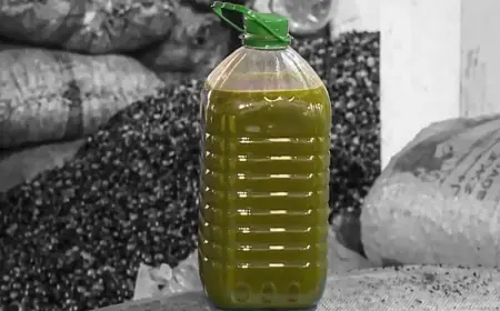 أسعار زيت الزيتون تنخفض إلى ما دون 60 درهم للتر