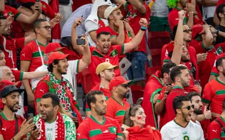 إقبال قياسي على بطاقة المشجع الخاصة بكأس الأمم الإفريقية المغرب 2025