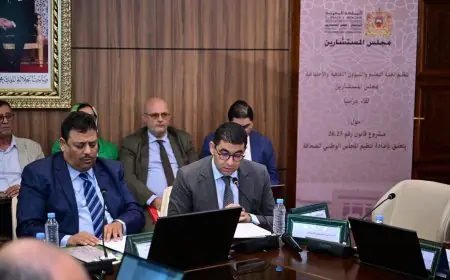 بنسعيد: المجلس الوطني للصحافة أداة لدعم المؤسسات الإعلامية وحماية حرية المهنة
