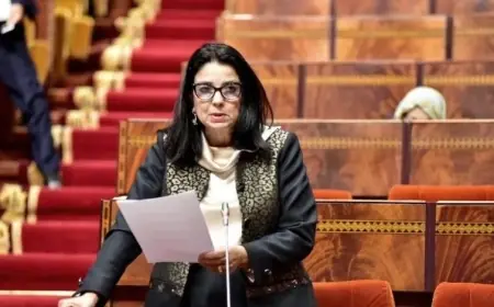 السغروشني تؤكد على ضرورة التنسيق مع هيئات النزاهة لإعداد إستراتيجية جديدة لمحاربة الفساد