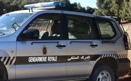 إحباط محاولة تهريب أربعة أطنان من الشيرا بالصويرة وتوقيف متورط رئيسي