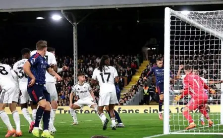 آرسنال يهزم فولهام ويتصدر الدوري الإنجليزي الممتاز