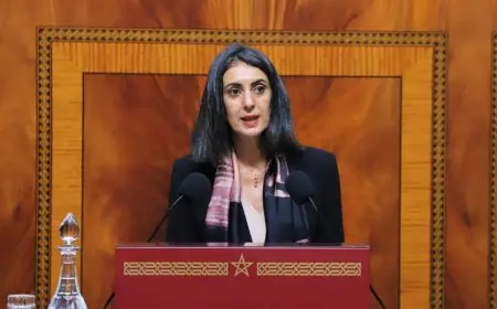 وزيرة الاقتصاد والمالية تقر بمسؤليتها في تأخير إصلاح التقاعد