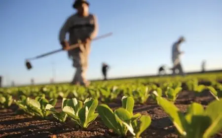 منتدى أكادير يناقش حلول مبتكرة لمواجهة ندرة المياه في القطاع الفلاحي بالمغرب