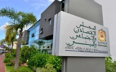 المجلس الاقتصادي والاجتماعي يدعو إلى تعزيز الشراكات بين الجامعات والمقاولات لتطوير البحث والابتكار