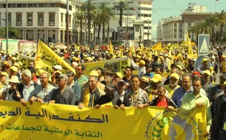 النقابة الوطنية للتعليم تُدين إحالة مشروع قانون التعليم وتدعو إلى تعبئة وطنية لسحبه