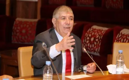 البرلماني أحمد التويزي يوضح حقيقة عبارة "طحن الورق"