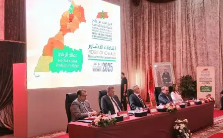 انطلاق لقاءات تشاورية في مختلف أقاليم المملكة لإرساء برامج التنمية الترابية المندمجة