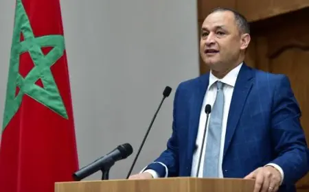 مزور: توسع الرقمنة والشمول الصحي للتجار بالمغرب يلامس 93 ألف مستفيد