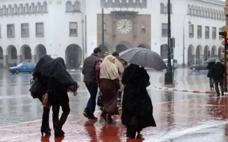 زخات رعدية مرتقبة بعدة مناطق بالمغرب يوم غد الاثنين