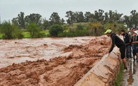 المخزون المائي للسدود يشهد تحسناً ملحوظاً بفضل الأمطار الأخيرة في عدة مناطق بالمملكة