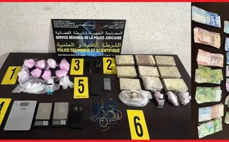 توقيف مواطن فرنسي من أصول جزائرية في مراكش لتورطه في محاولة قتل