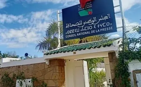 اللجنة المؤقتة لتسيير قطاع الصحافة والنشر تقرر اللجوء للقضاء ضد حميد المهداوي