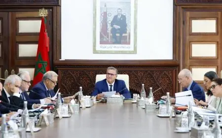 الحكومة تصادق على مشروع مرسوم ينظم "وضعية قضاة المحاكم المالية"