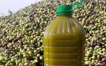 تحذيرات من زيوت مغشوشة بالأسواق المغربية