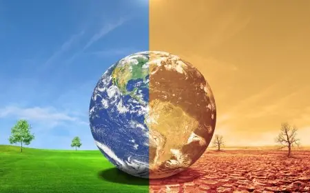 اليوم العالمي للمناخ : دعوة لاتخاذ إجراءات لمواجهة التغيرات المناخية