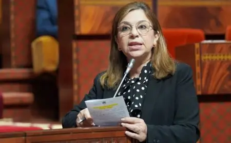 وزيرة الأسرة: ربات البيوت المغربيات يقمن بالطهي والتنظيف بلا أجر وحماية