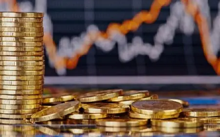 صافي أصول هيئات التوظيف الجماعي يتراجع إلى 801 مليار درهم مع نهاية نونبر 2025