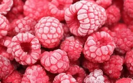 المغرب يعزز حضوره في السوق الفرنسية برقم قياسي لصادرات التوت الأحمر المجمد