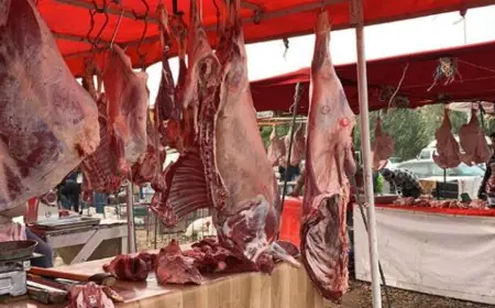 قرار تعليق رسوم استيراد الأبقار والأغنام يفشل في خفض أسعار اللحوم الحمراء بالمغرب