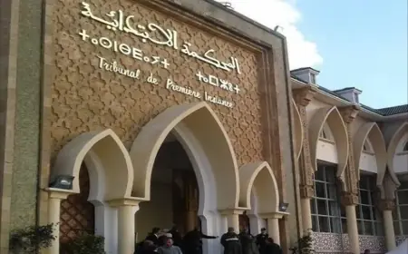 لوبيات السمسرة تسيطر على المزايدات العلنية بالمحاكم وتهدد حقوق مالكي العقارات
